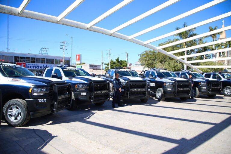 WhatsApp Image 2025-01-29 at 17.51.58