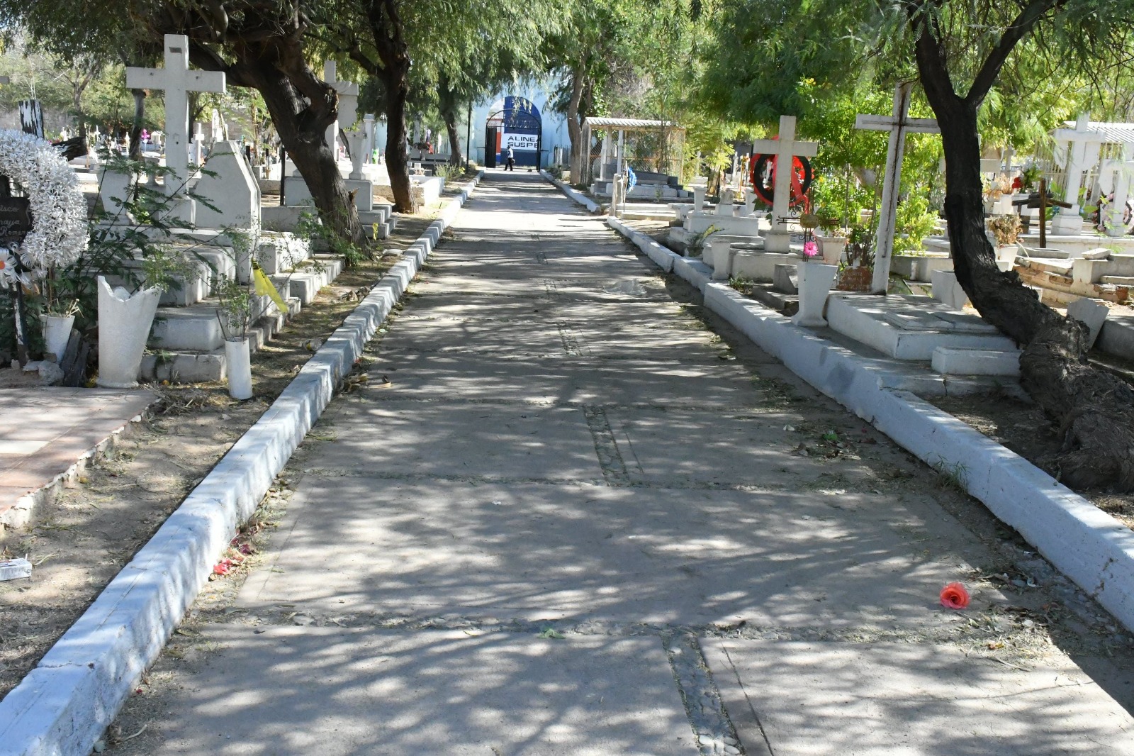 WhatsApp Image 2025-02-04 at 13.54.32