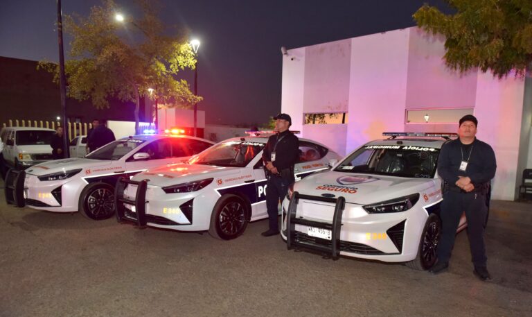 WhatsApp Image 2025-02-04 at 15.59.55