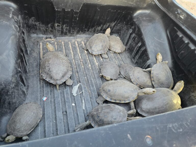 WhatsApp Image 2025-04-08 at 14.32.35