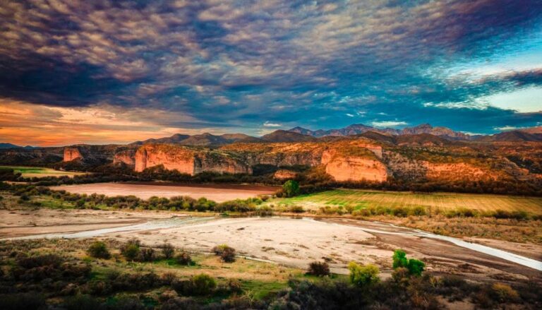 WhatsApp Image 2025-04-11 at 18.20.48