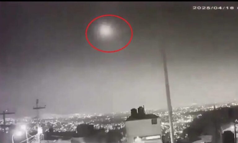 meti-scaled-e1744818242965-1024x618 (1)