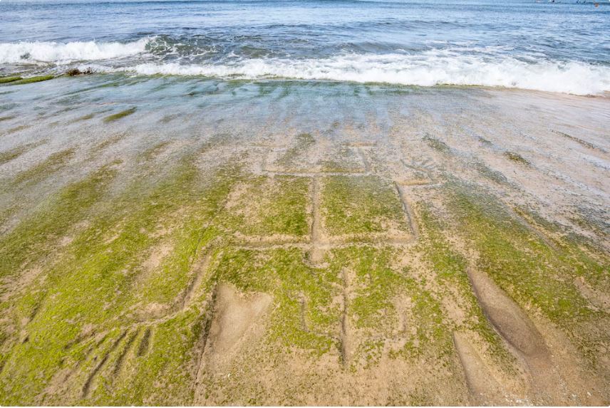 PETROGLIFOS HAWAIANOS